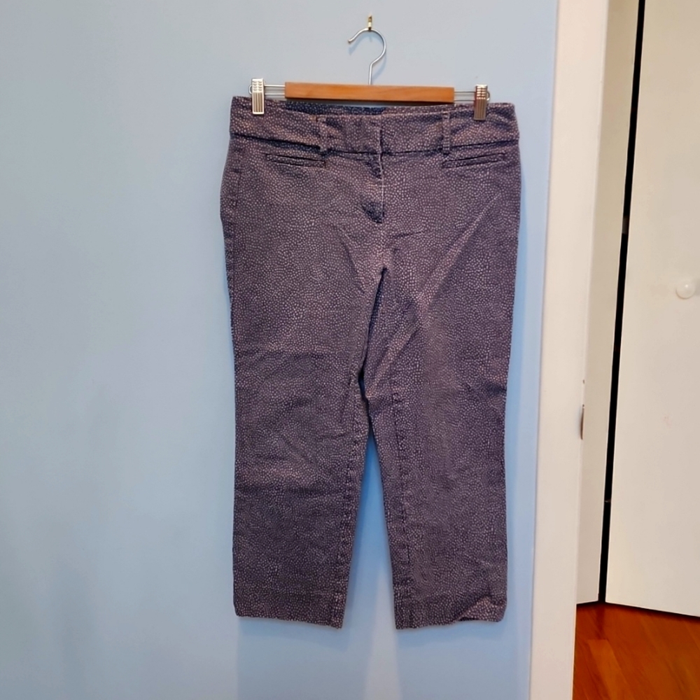 Loft outlet blue cropped pants with white dot patter size 6